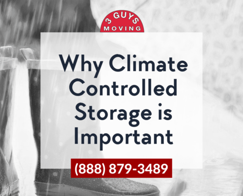 Why Climate Controlled Storage is Important 8 moving and storage company