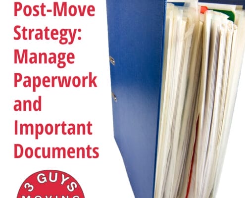 Post-Move Strategy: Manage Paperwork and Important Documents 2 Post-Move Strategy: Manage Paperwork and Important Documents