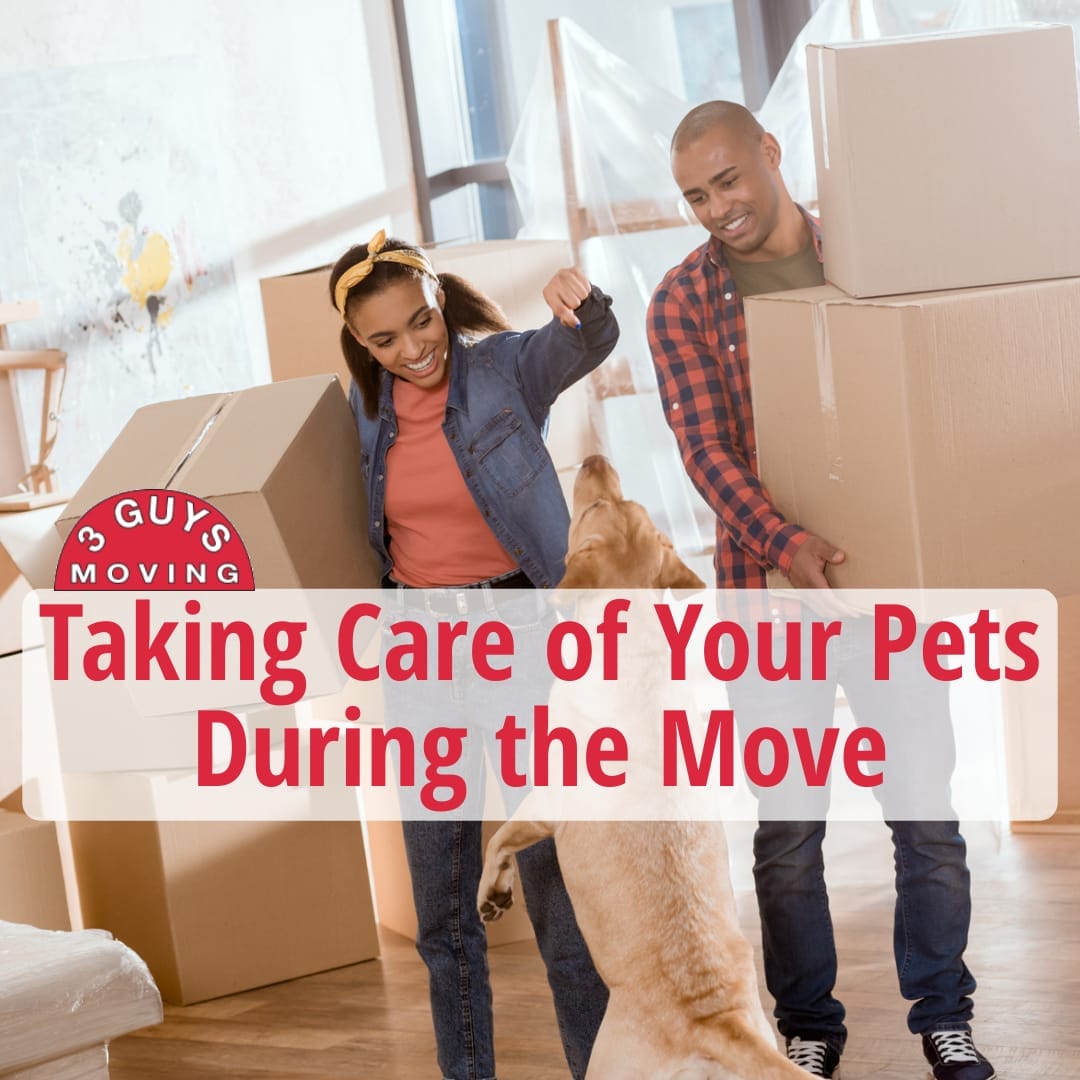 Taking Care of Your Pets During the Move