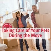 Taking Care of Your Pets During the Move Taking Care of Your Pets During the Move